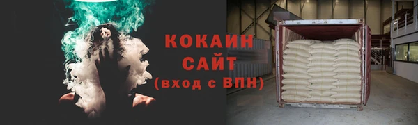 крисы Бронницы
