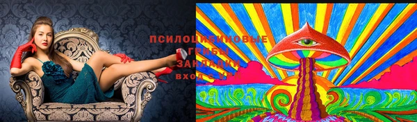 крисы Бронницы