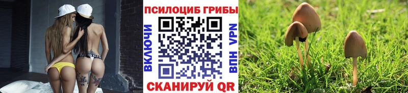 Псилоцибиновые грибы прущие грибы  Купить закладки  Приморско-Ахтарск 